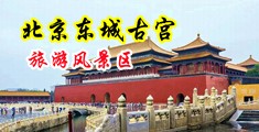 操操日操美国女人中国女人中国北京-东城古宫旅游风景区